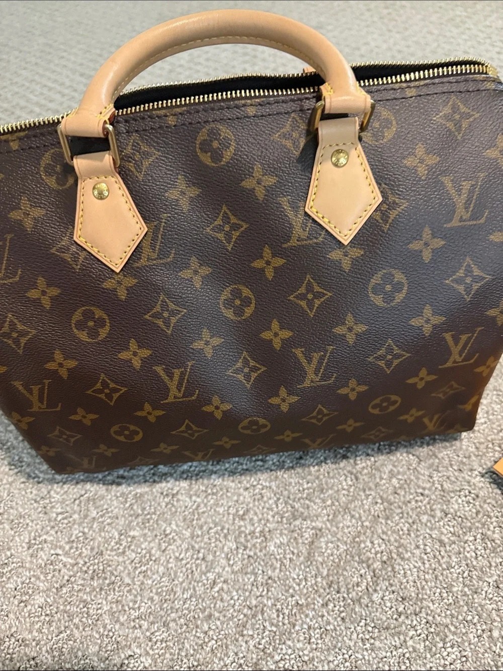 Louis Vuitton spacious interior